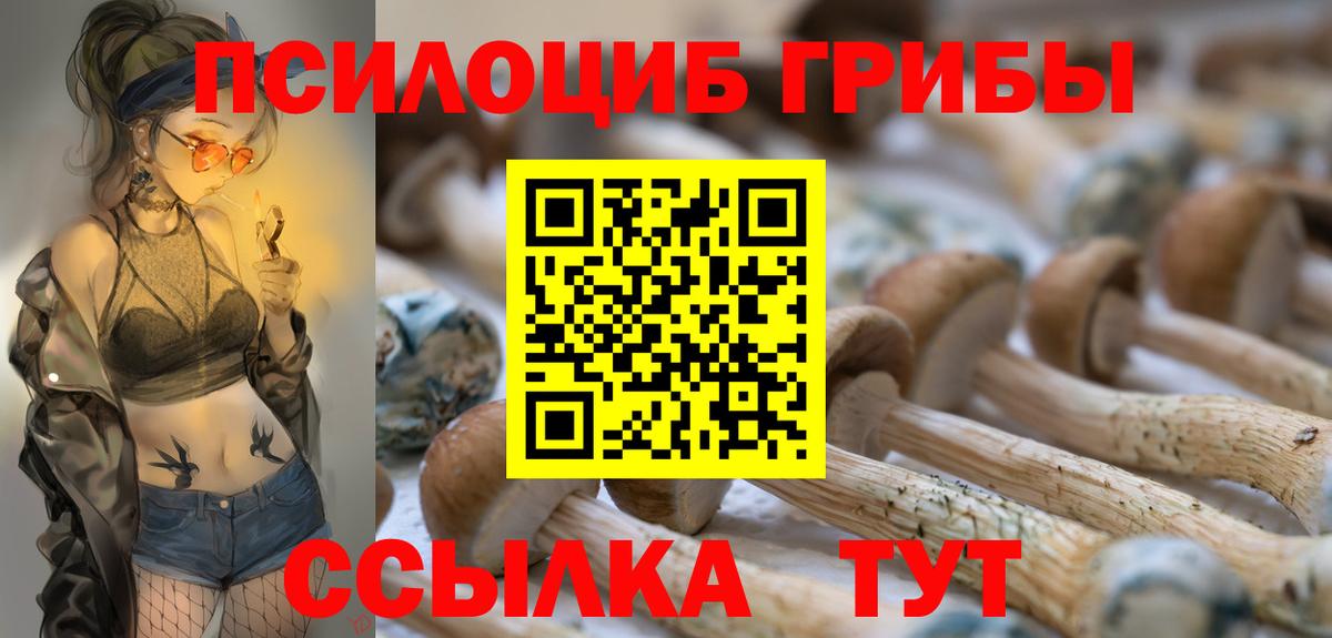 Богородицк  Галлюциногенные грибы ЛСД  наркошоп  Вход с VPN 